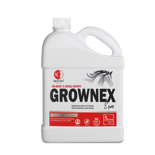 Grownex Equine - For Height and Muscle Growth of Horse