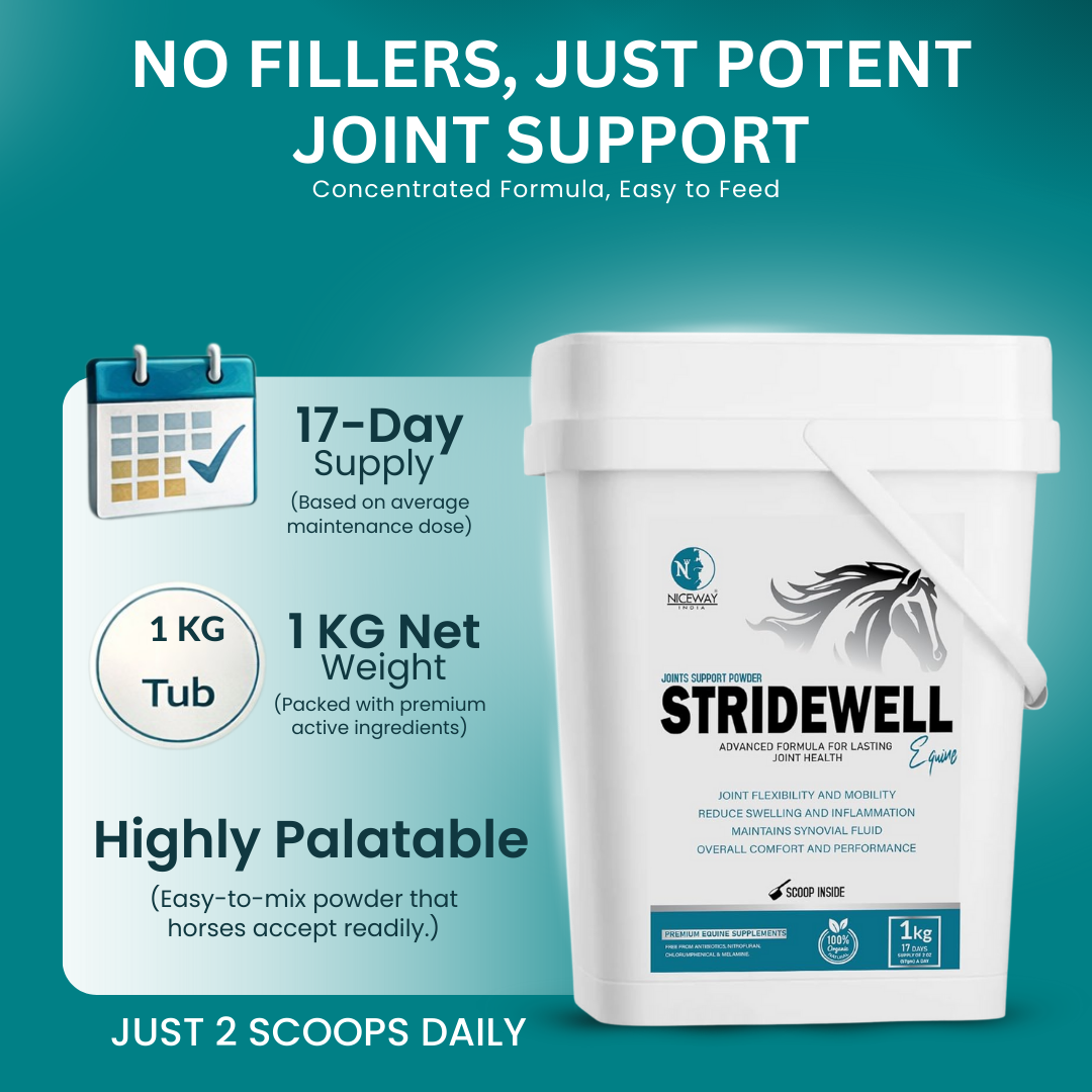 StrideWell Equine - Advanced Formula for Joint Health of Horse