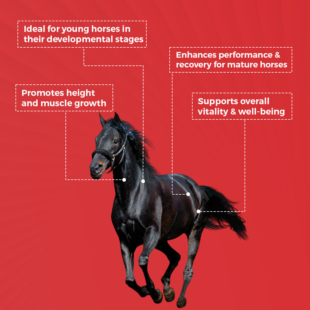 Grownex Equine - For Height and Muscle Growth of Horse