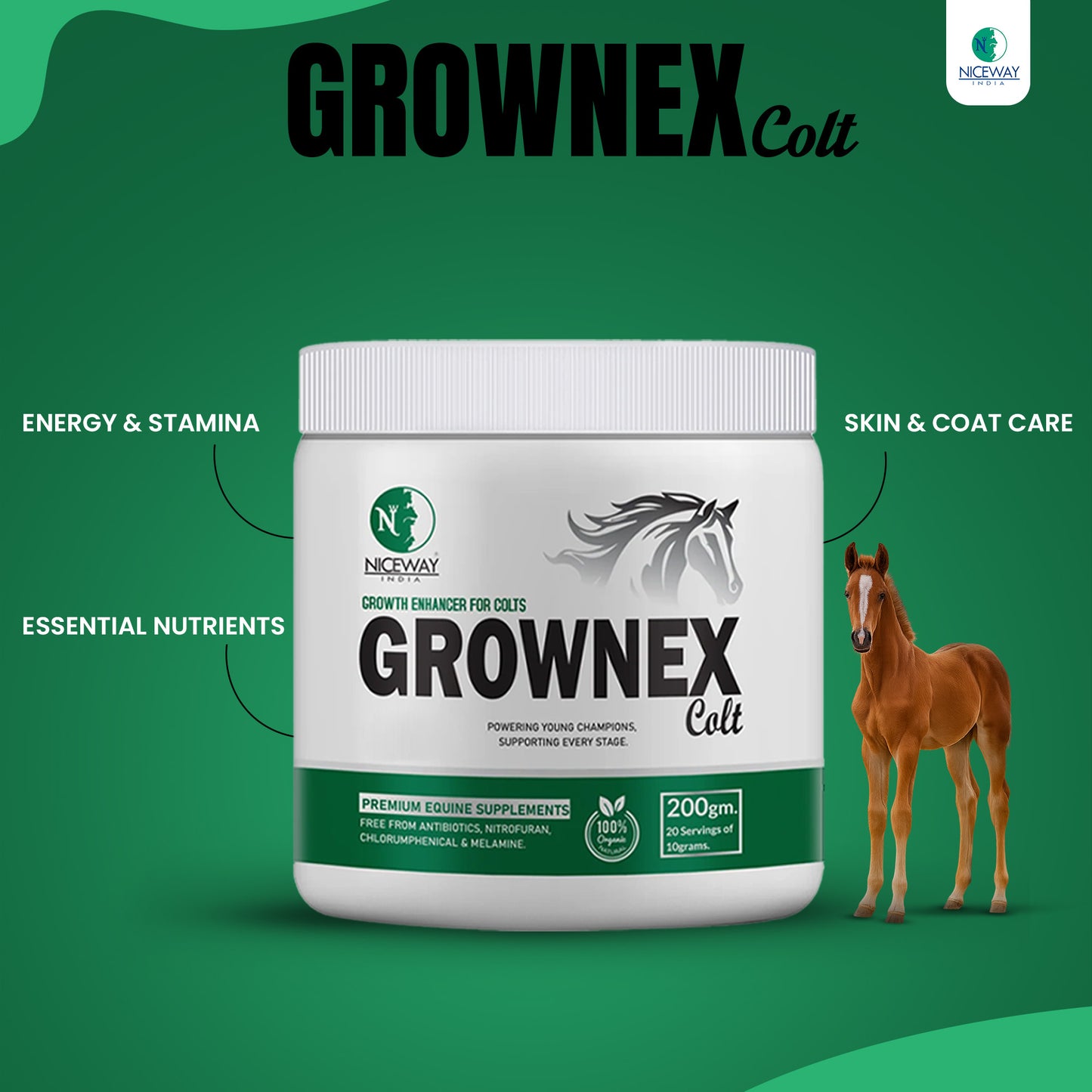 Grownex Colt - Growth Enhancer for Young Athletic Horse