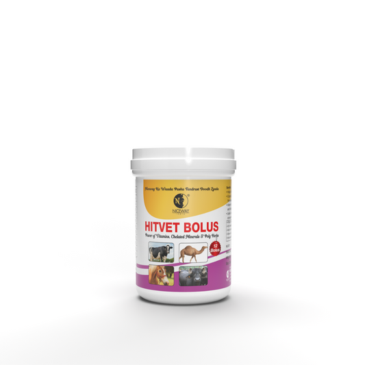 Hitvet Bolus for Increased conception rate