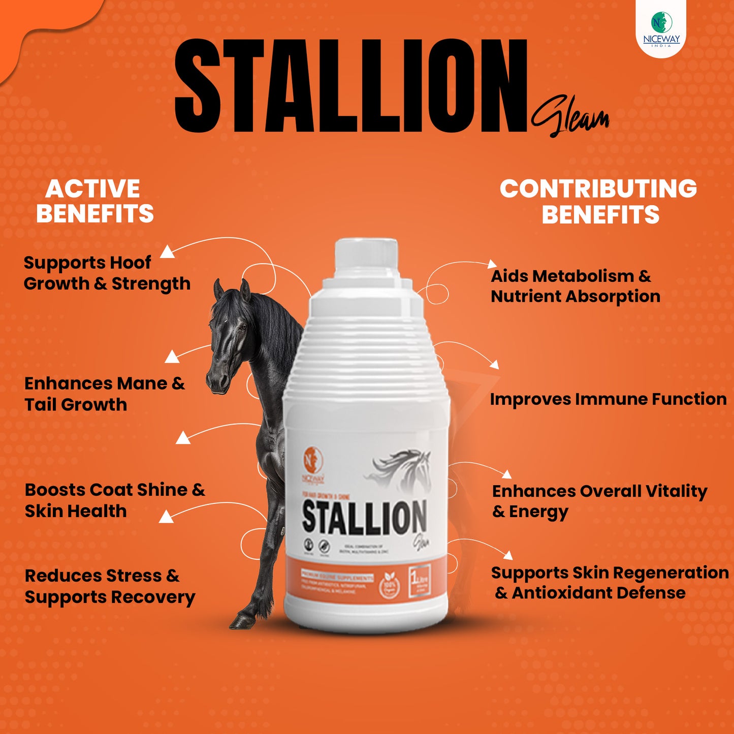 Stallion Gleam – Premium Equine Coat & Hoof Supplement