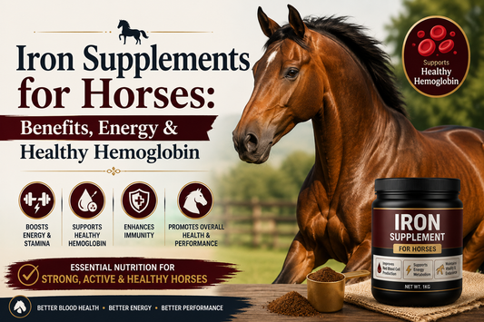 Iron Supplements for Horses: Benefits, Energy & Healthy Hemoglobin