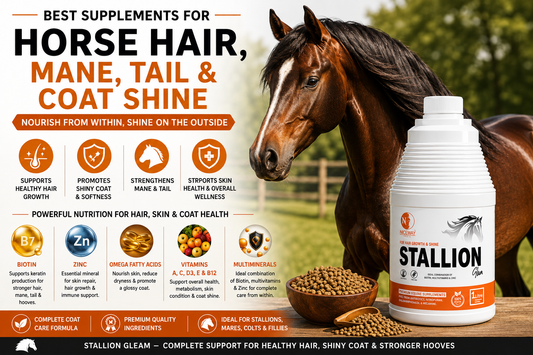 Best Supplements for Horse Hair, Mane, Tail & Coat Shine