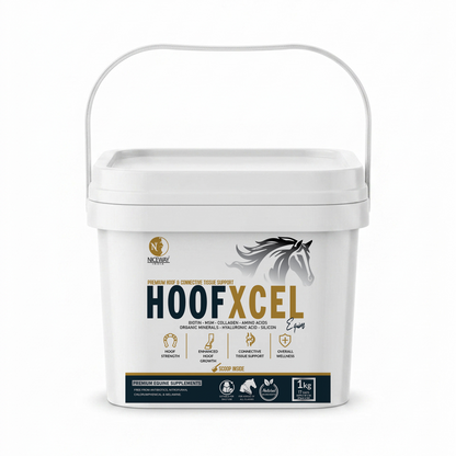 HoofXcel – Horse Hoof Supplement for Stronger, Healthier Hooves