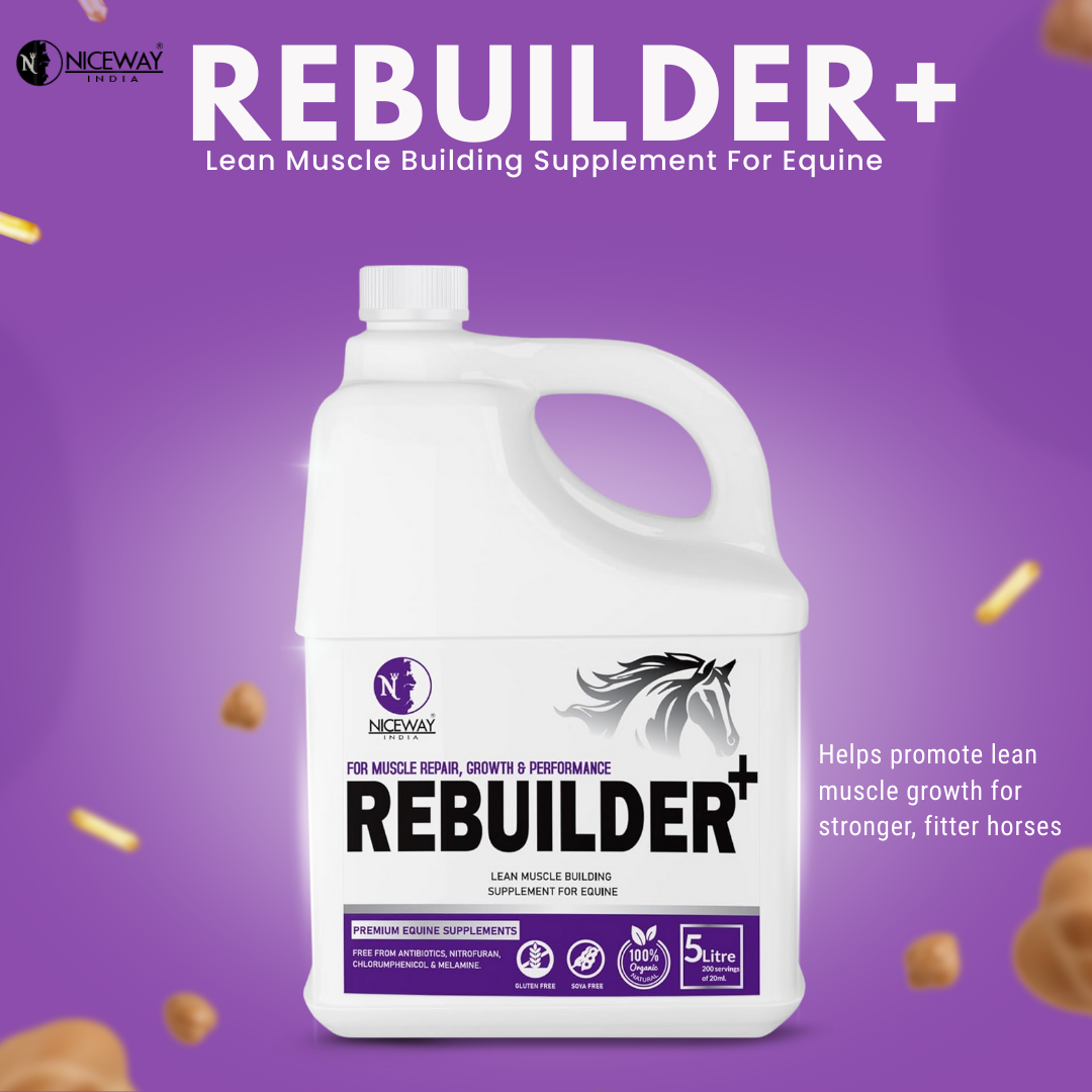 Rebuilder+ -  Muscle Repair, Growth & Performance of Athletic Horses