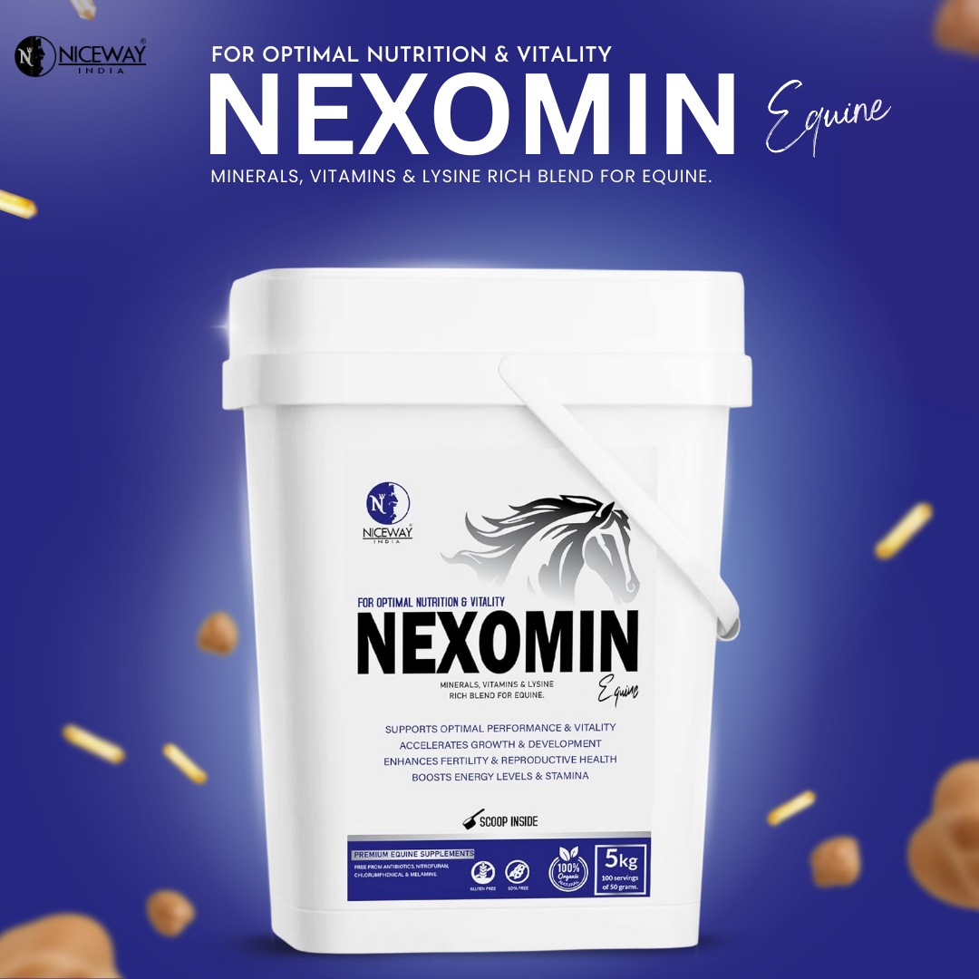 Nexomin Equine - for Optimal Nutrition and Vitality in Horses 5KG