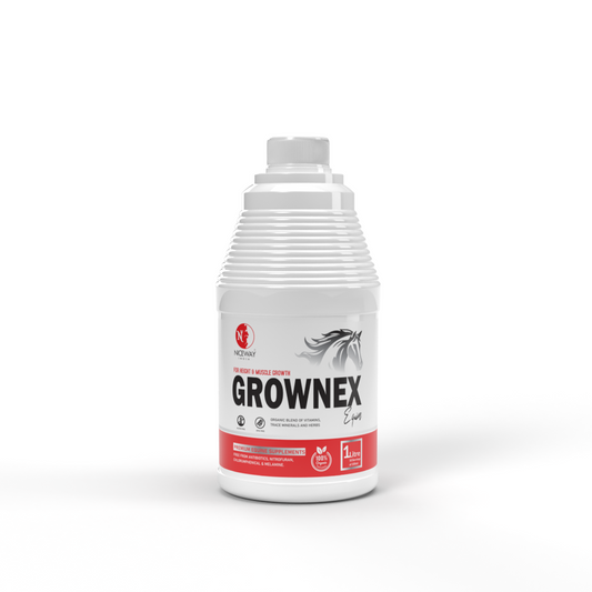 Grownex Equine - For Height and Muscle Growth of Horse