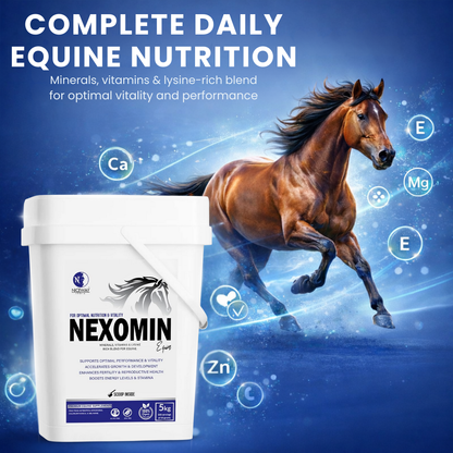 Nexomin Equine - for Optimal Nutrition and Vitality in Horses 5KG