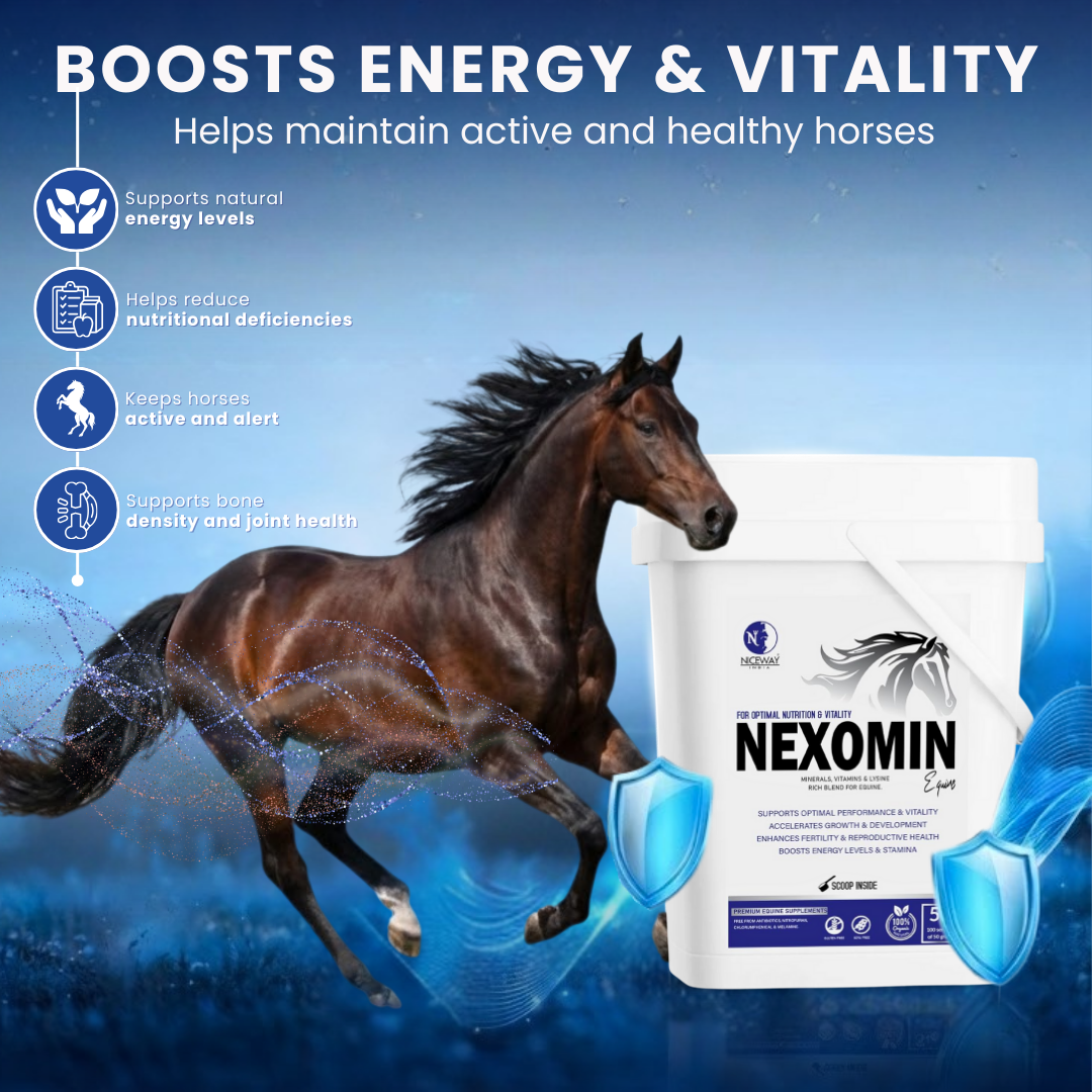 Nexomin Equine - for Optimal Nutrition and Vitality in Horses 5KG
