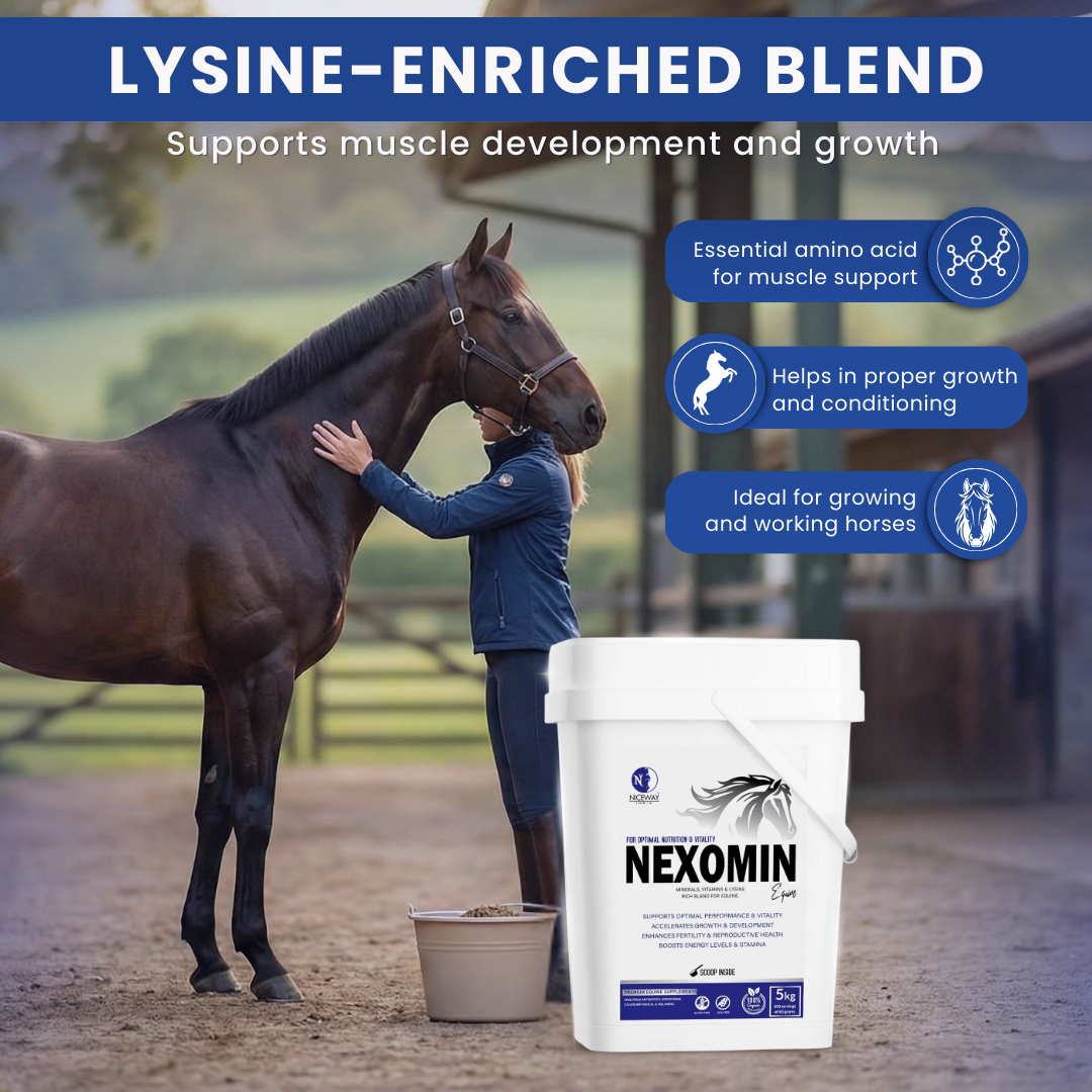 Nexomin Equine - for Optimal Nutrition and Vitality in Horses 5KG