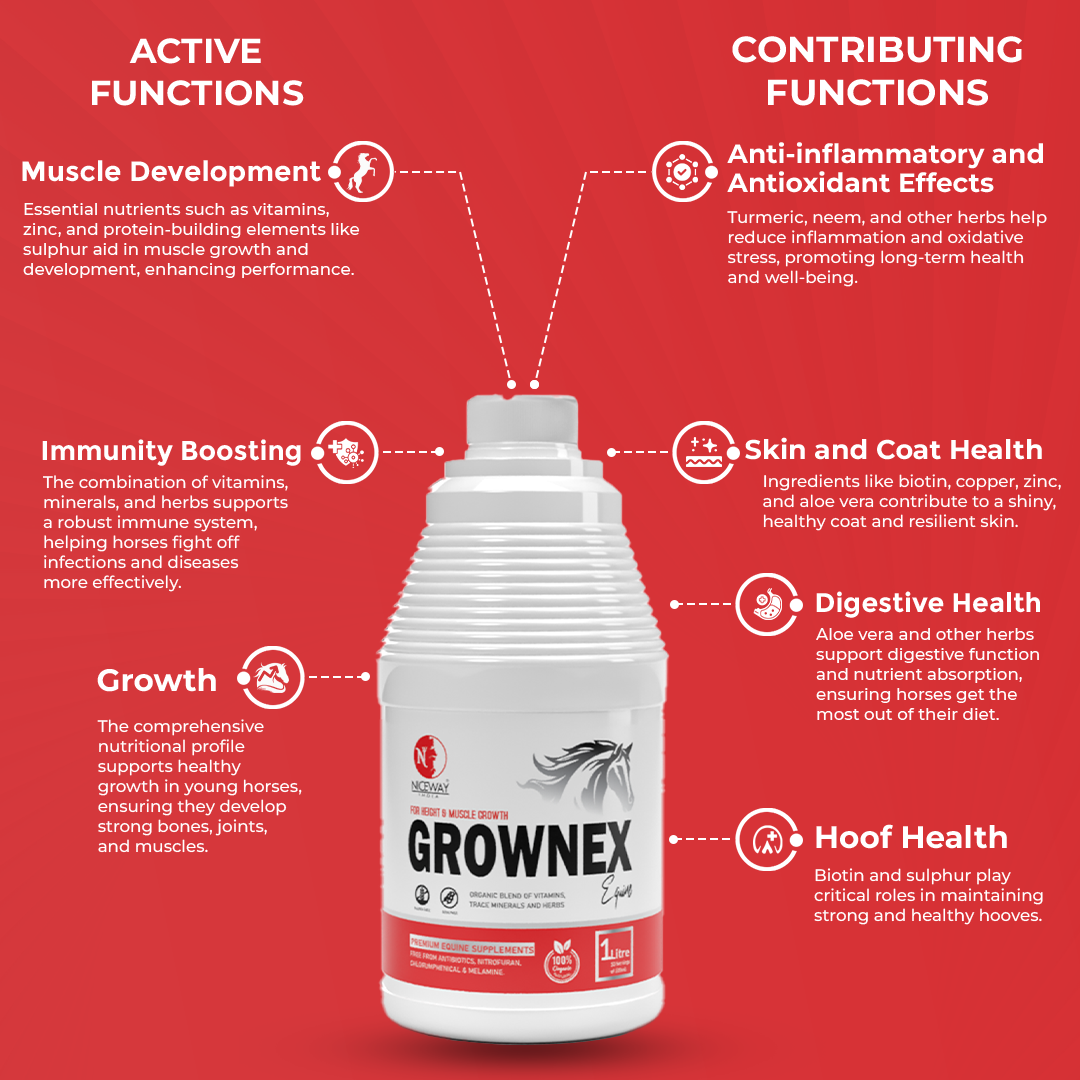 Grownex Equine - For Height and Muscle Growth of Horse