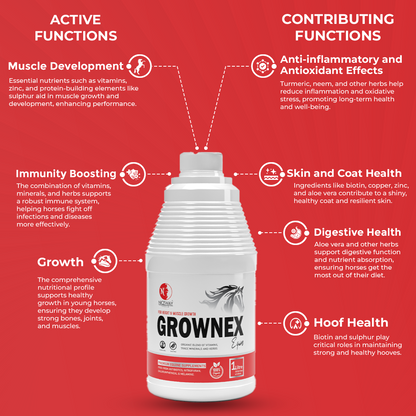 Grownex Equine - For Height and Muscle Growth of Horse