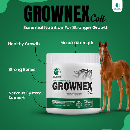 Grownex Colt - Growth Enhancer for Young Athletic Horse
