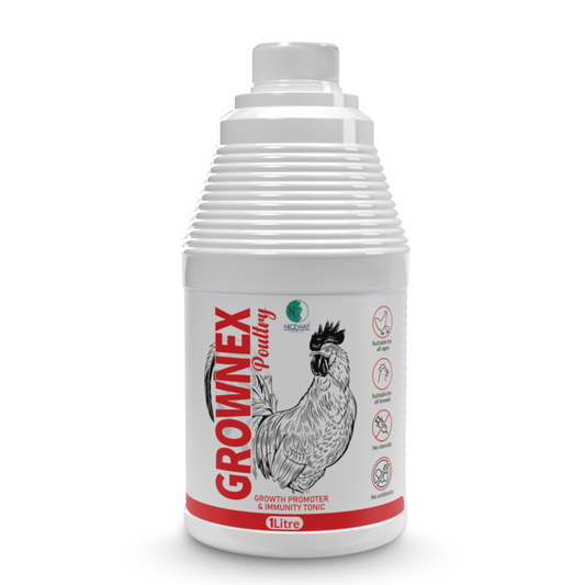 Grownex Poultry - Growth Promoter and Immunity Tonic for all ages and breeds