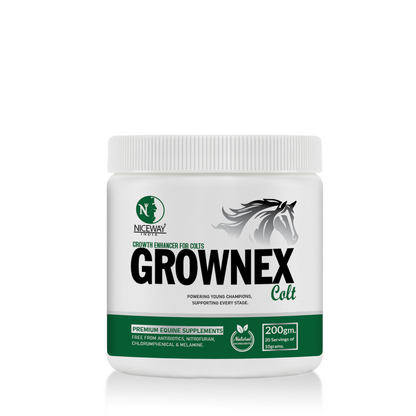 Grownex Colt - Growth Enhancer for Young Athletic Horse