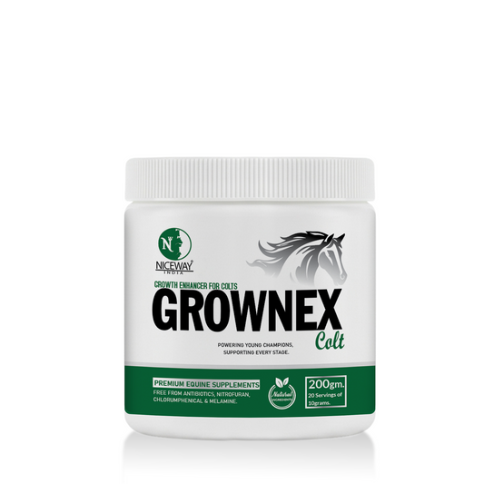 Grownex Colt - Growth Enhancer for Young Athletic Horse