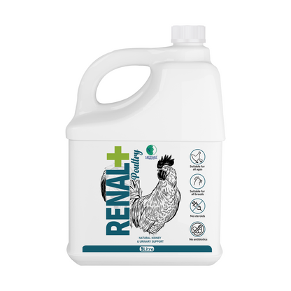 Renal+ Poultry – Herbal Kidney Flusher & Urinary Support Supplement for Broilers, Layers & Breeders