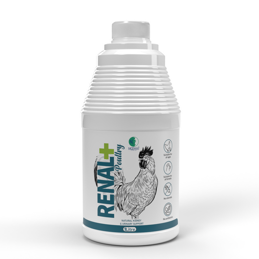 Renal+ Poultry – Herbal Kidney Flusher & Urinary Support Supplement for Broilers, Layers & Breeders