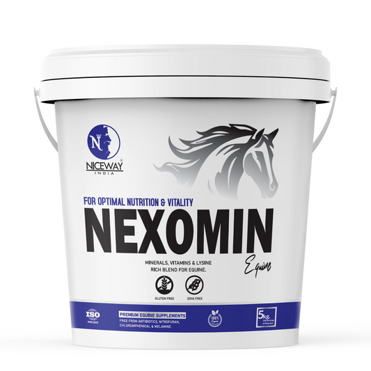 Nexomin Equine - for Horse Nutrition and Vitality