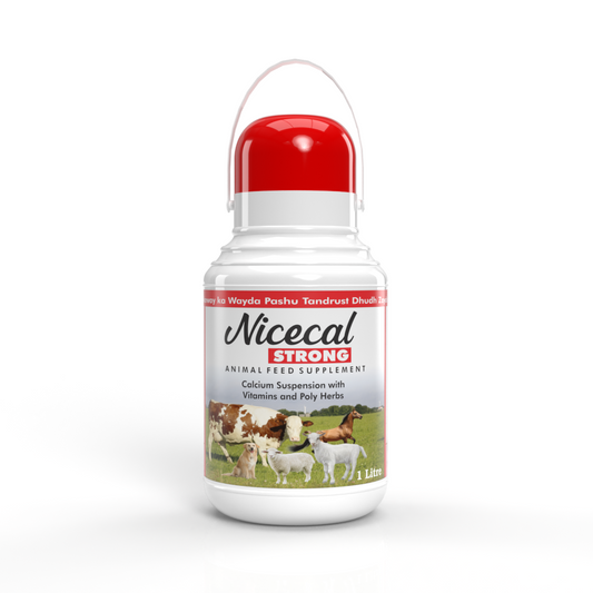 Nicecal Strong - Liquid Metho Chelated Calcium for Cattle