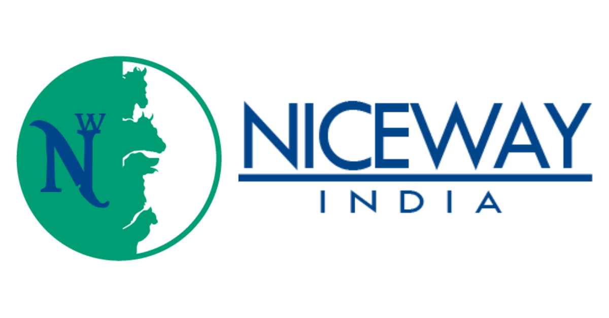 Niceway India logo