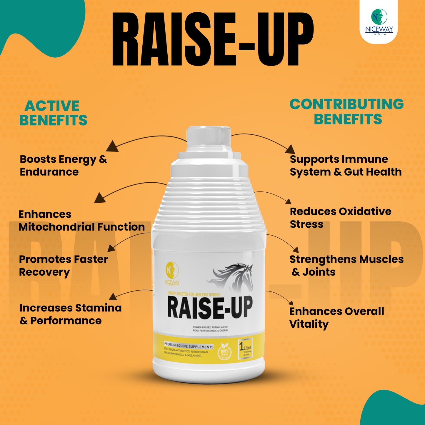 Raise-Up - Energy and Performance Booster for Athletic Horses