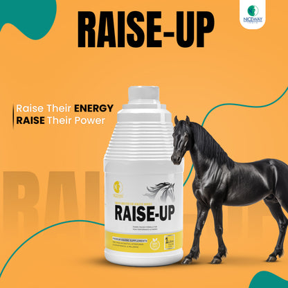 Raise-Up - Energy and Performance Booster for Athletic Horses