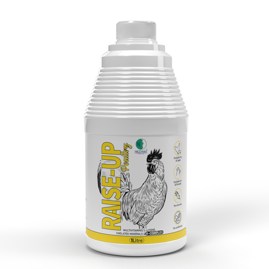 Raise - UP Poultry Multivitamin, L-Lysine, Chelated Minerals & B-Complex Supplement