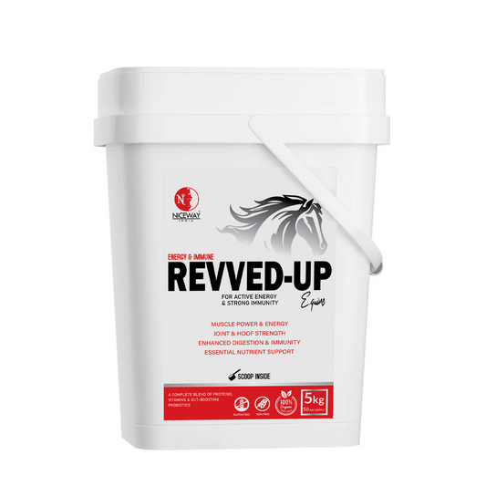 Revved-Up For Strong Immunity & Energy in Horse