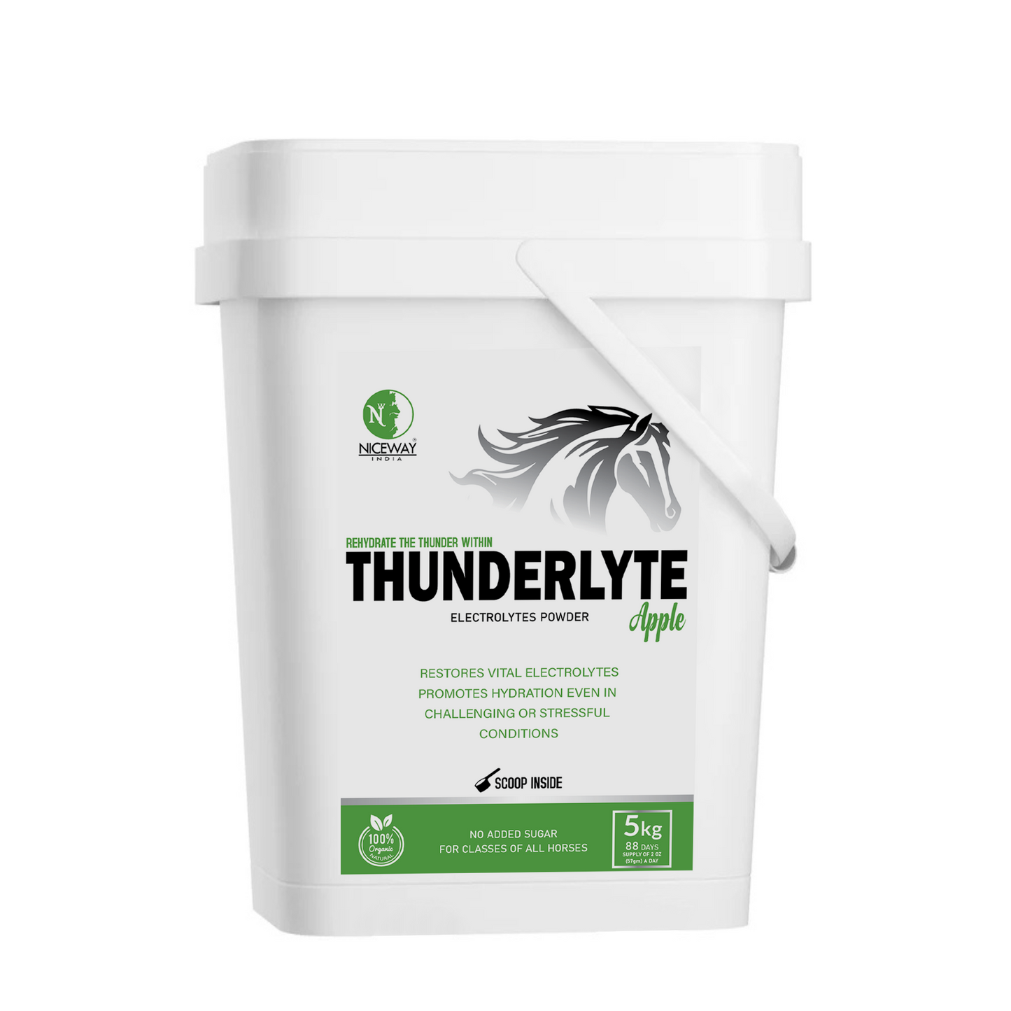 Thunderlyte Apple - Electrolytes Powder for Horse