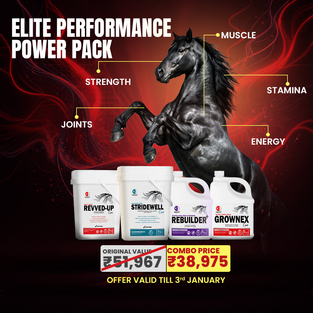 ELITE PERFORMANCE POWER PACK COMBO FOR HORSES