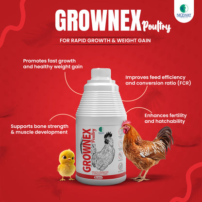 Grownex Poultry - Growth Promoter and Immunity Tonic for all ages and breeds