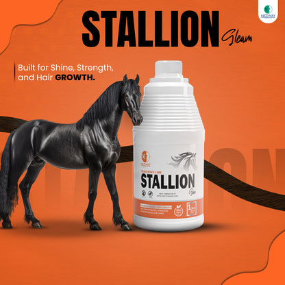 Stallion Gleam – Premium Equine Coat & Hoof Supplement