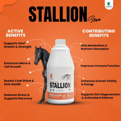 Stallion Gleam – Premium Equine Coat & Hoof Supplement