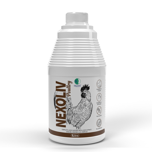 Nexoliv Poultry - Liver Support for Chicken, Broilers, Hen and Birds