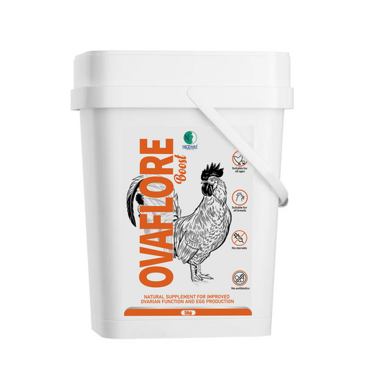 Ovaflore Boost - Supplement for Improved Ovarian Function & Egg Production in Hens, Layers, Chicken and Poultry