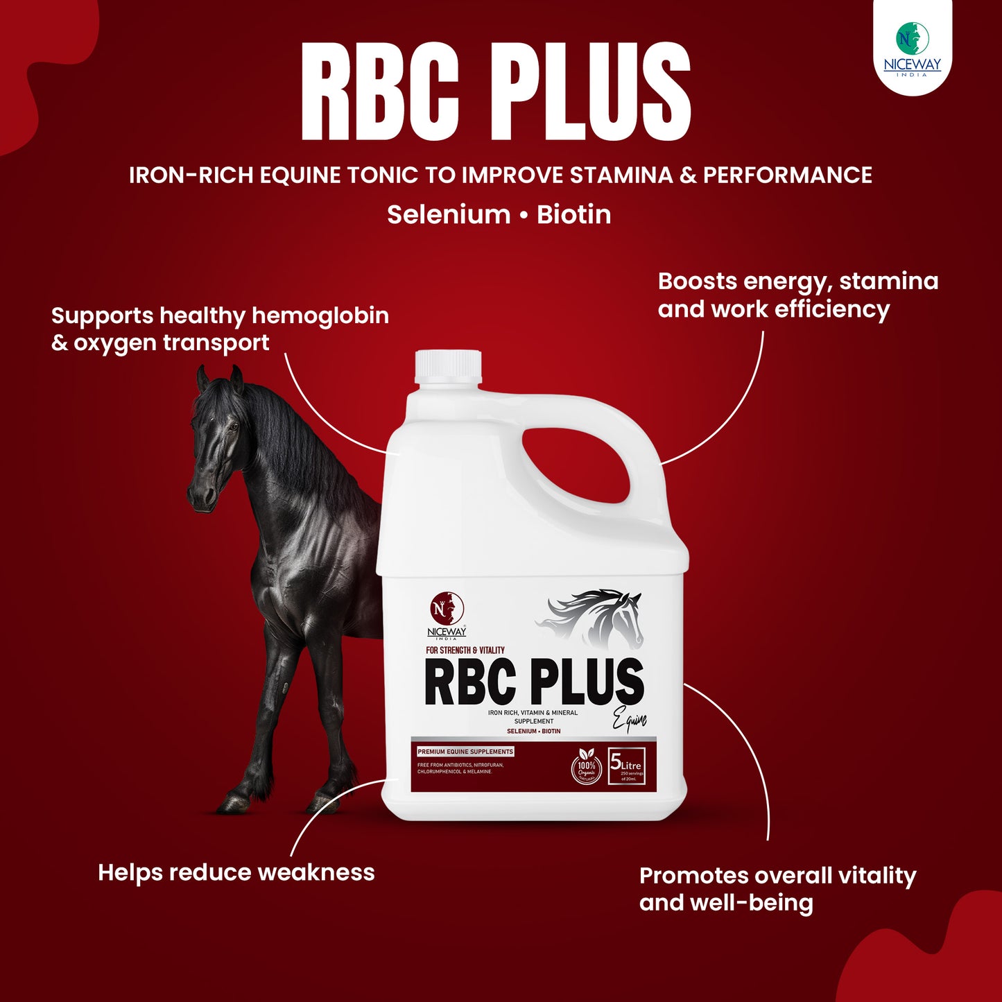 RBC Plus Equine – Iron Tonic for Horses | Iron, Vitamin & Mineral Supplement