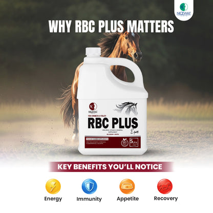 RBC Plus Equine – Iron Tonic for Horses | Iron, Vitamin & Mineral Supplement
