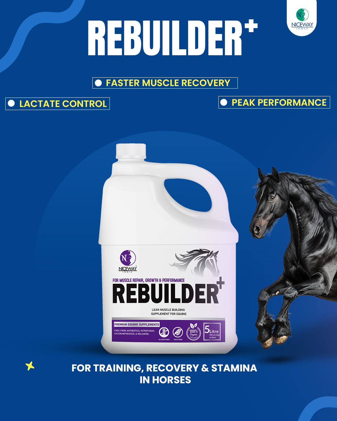 Rebuilder+ -  Muscle Repair, Growth & Performance of Athletic Horses