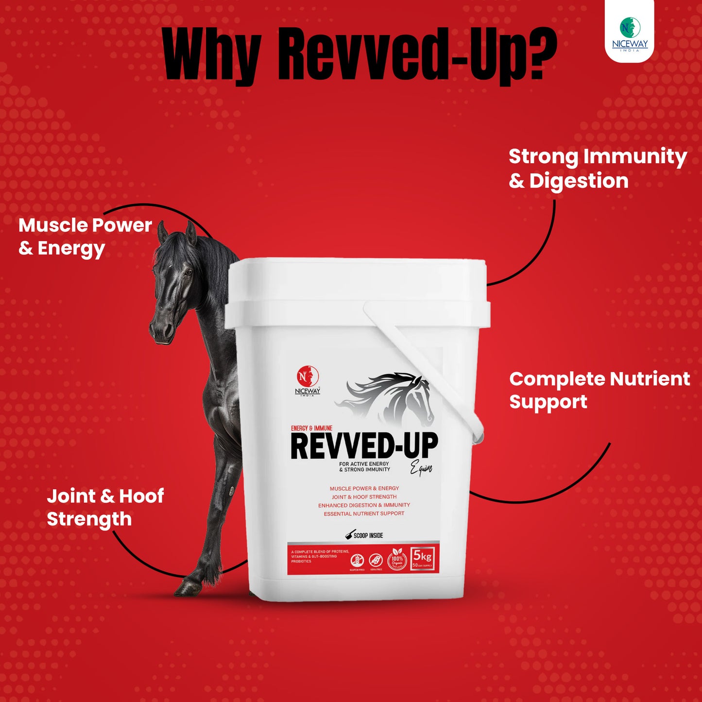 Revved-Up For Strong Immunity & Energy in Horse