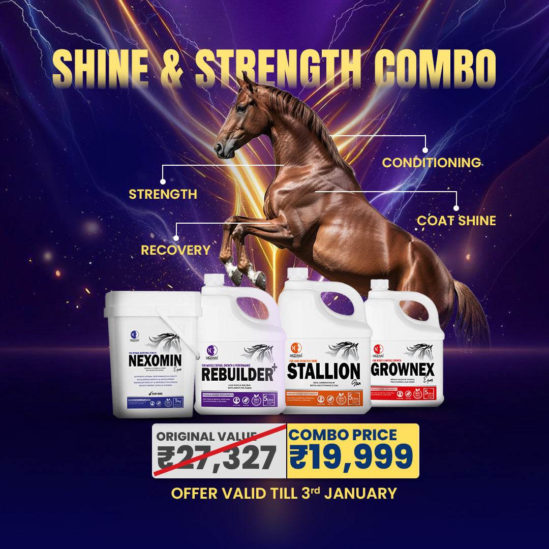 SHINE & STRENGTH COMBO FOR HORSES