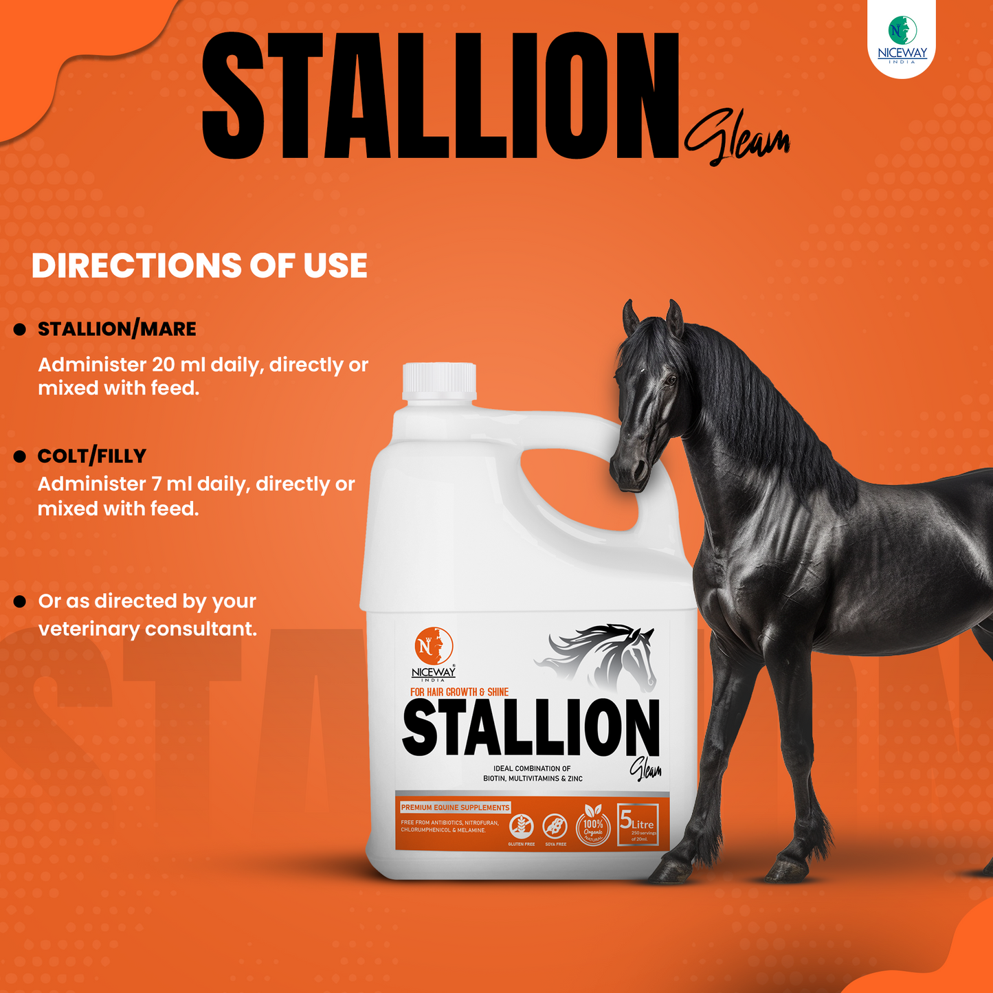 Stallion Gleam – Premium Equine Coat & Hoof Supplement