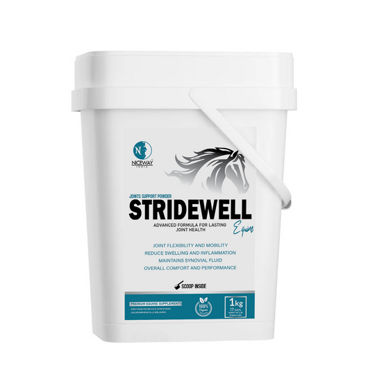 StrideWell Equine - Advanced Formula for Joint Health of Horse